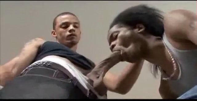 King Dingo Fucks Seduction